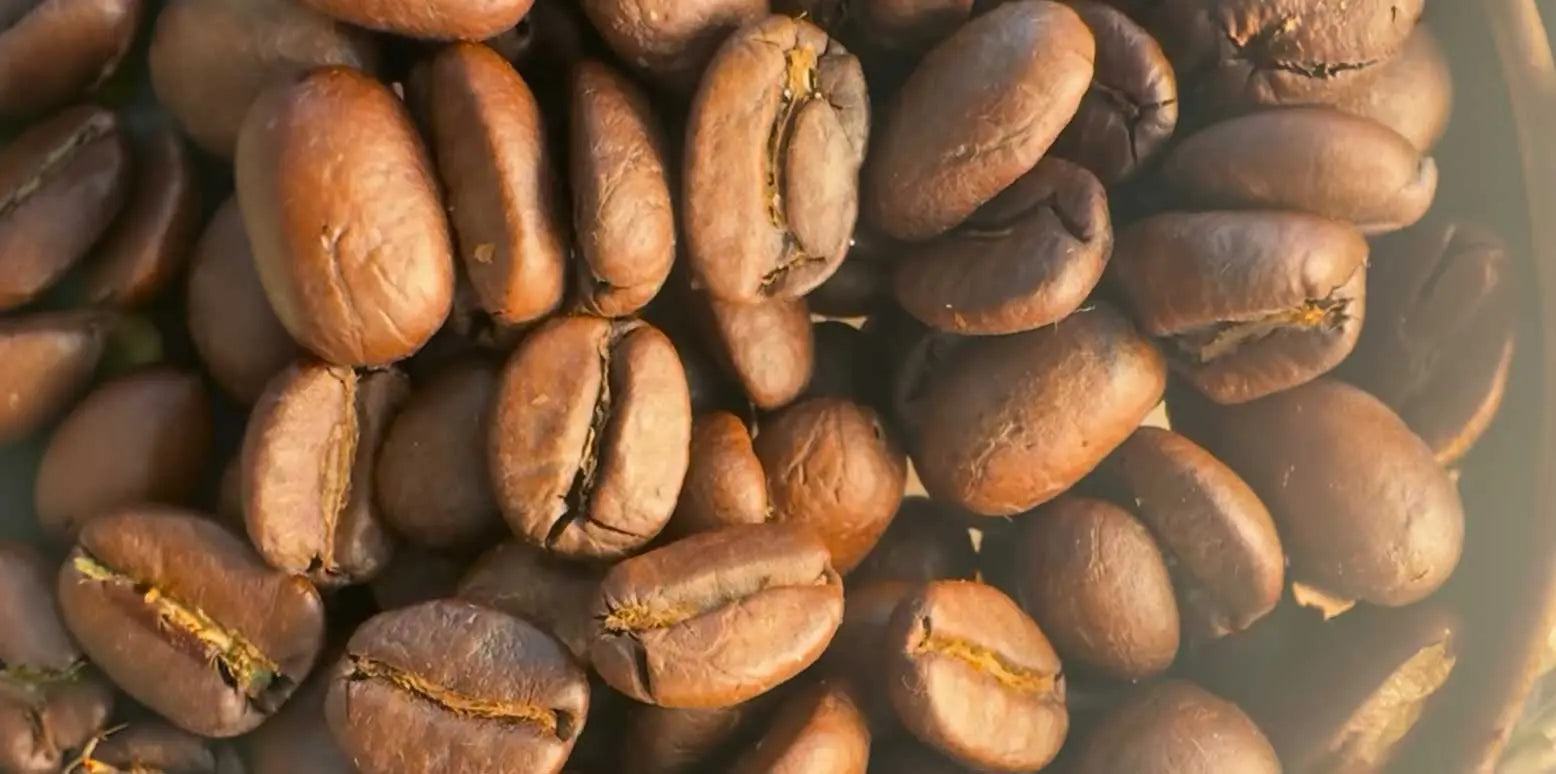 Where Our Caffeine Comes From: The Clean, Natural Source Behind Every Chew